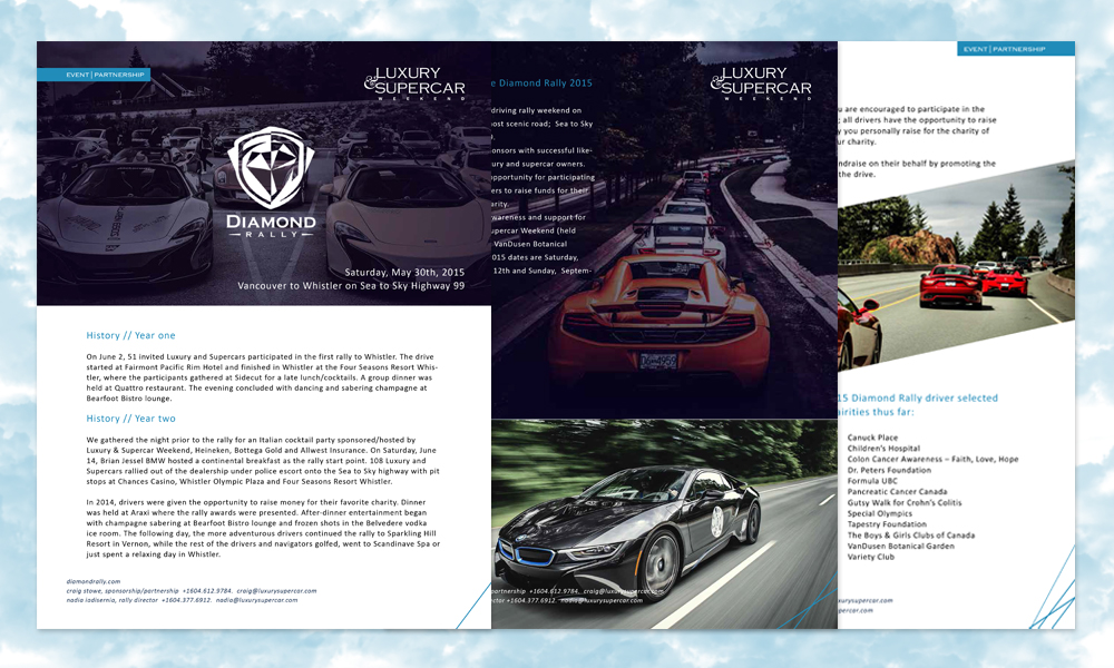Diamond Rally web design advertisement design print